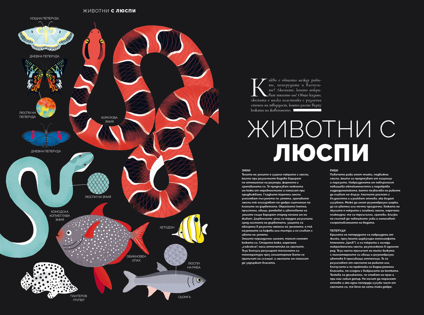 Животни